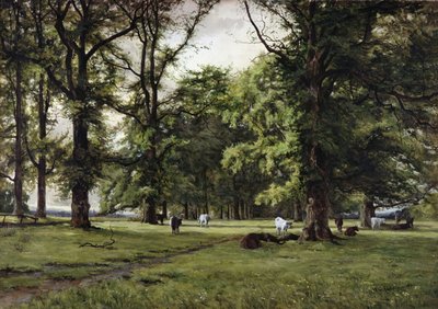 The Elm Walk by William Grylls Addison